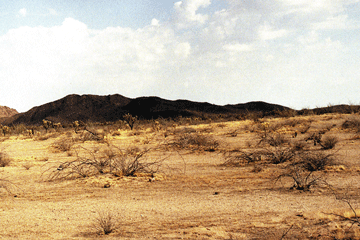 f0097002_022882.gif