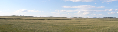 e0024206_20504.jpg