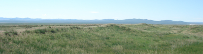 e0024206_2052560.jpg