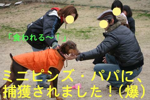 ディニーズ【遊びまくり会】♪(*^ｍ^)v　２００７年１月２１日_e0100007_14173664.jpg