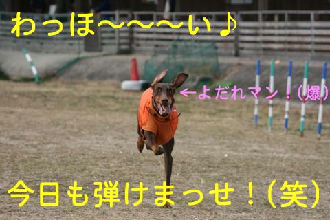 e0100007_1465919.jpg