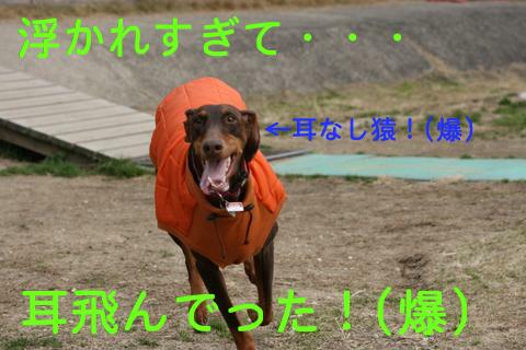 e0100007_1484865.jpg