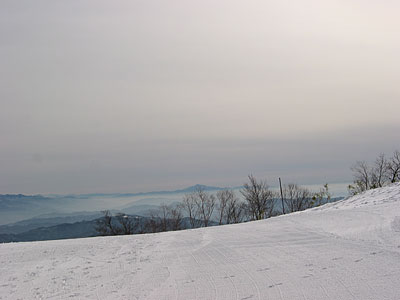 a0041508_1324524.jpg