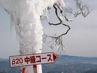 a0041508_1335143.jpg