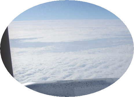 d0070316_1648355.jpg