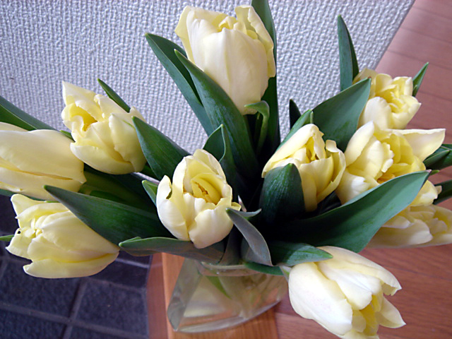 c0003723_2261318.jpg
