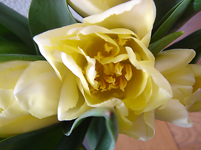c0003723_2265272.jpg