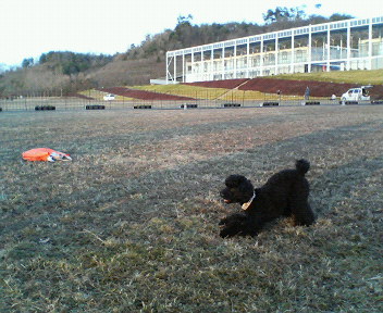 f0076529_192828.jpg