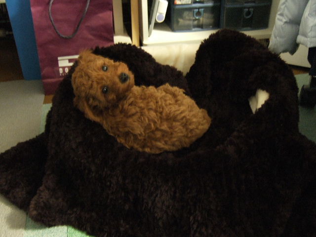 f0076529_2013892.jpg