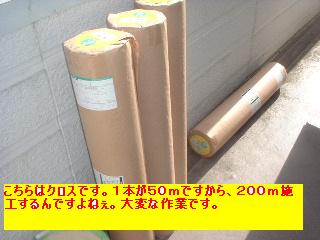 f0031037_17124639.jpg