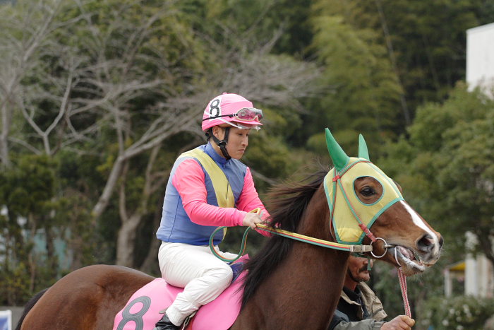 2007年1月21日(日) 高知競馬 6R_a0077663_18165924.jpg
