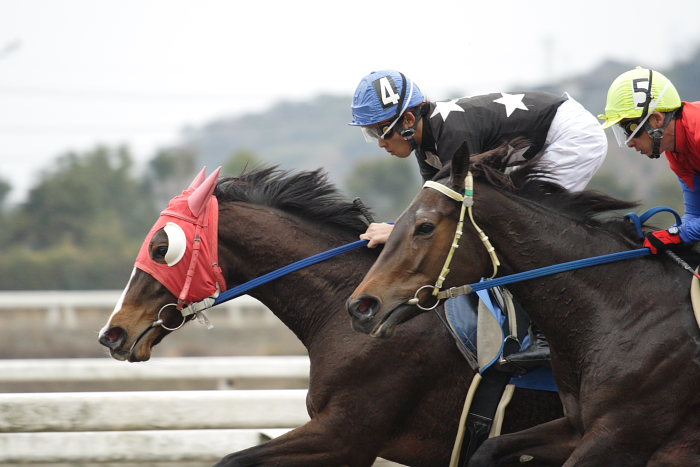 2007年1月21日(日) 高知競馬 6R_a0077663_18171817.jpg