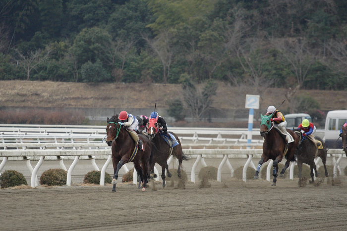 2007年1月21日（日） 高知競馬 6R_a0077663_18172942.jpg