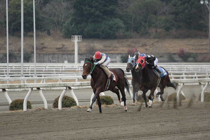 2007年1月21日(日) 高知競馬 6R_a0077663_18174112.jpg