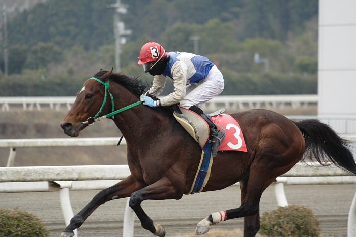 2007年1月21日(日) 高知競馬 6R_a0077663_18175381.jpg