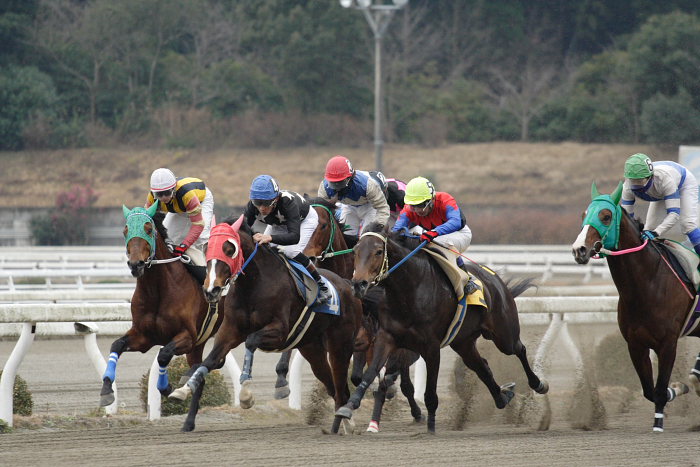 2007年1月21日（日） 高知競馬 6R_a0077663_1817820.jpg