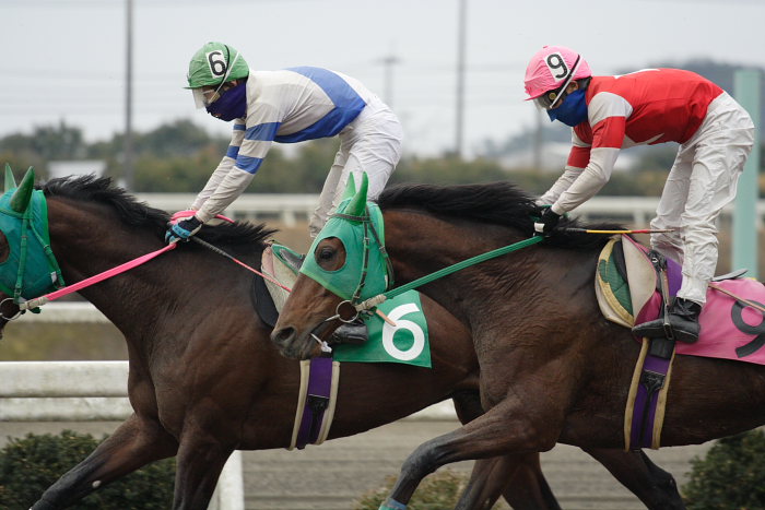 2007年1月21日(日) 高知競馬 6R_a0077663_1818846.jpg