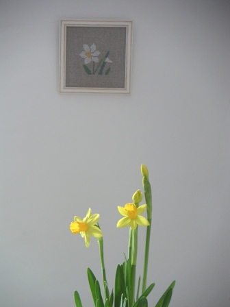 1月の誕生花_e0116763_7434667.jpg