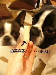 ポッキーキス_d0041575_20441946.jpg