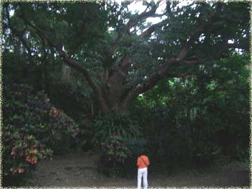 f0083977_2147867.jpg