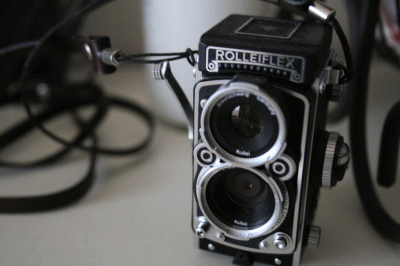 d0100192_19563919.gif