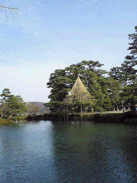 b0095594_1442827.gif