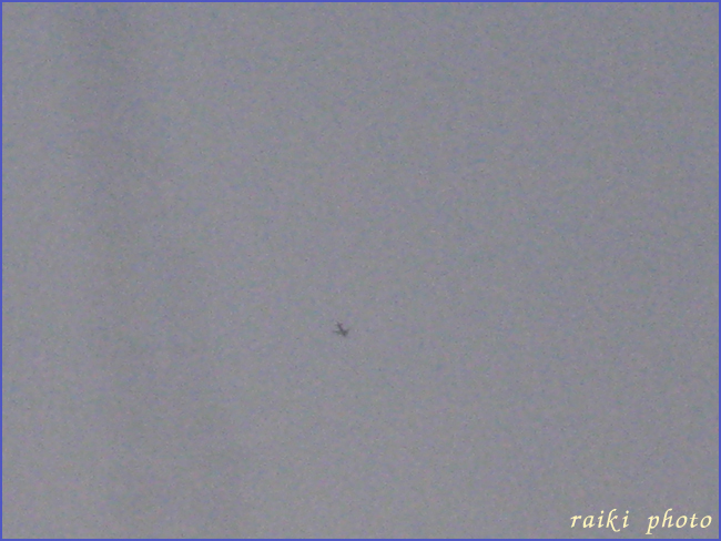 d0035398_17283984.jpg