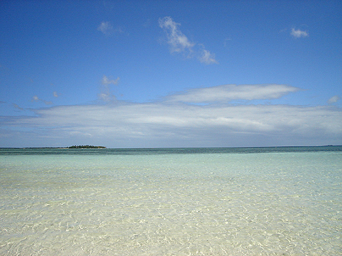 a0036400_23263276.jpg