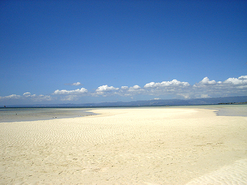 a0036400_2326912.jpg