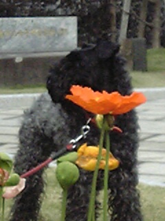 c0037701_23412764.jpg