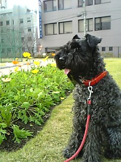 c0037701_23414270.jpg