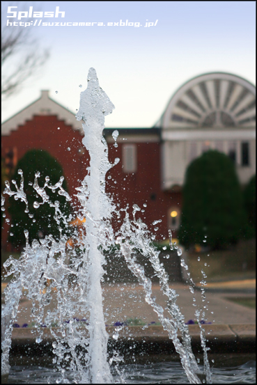 Splash_f0100215_2255344.jpg