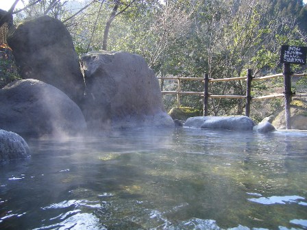 f0000330_17364985.jpg