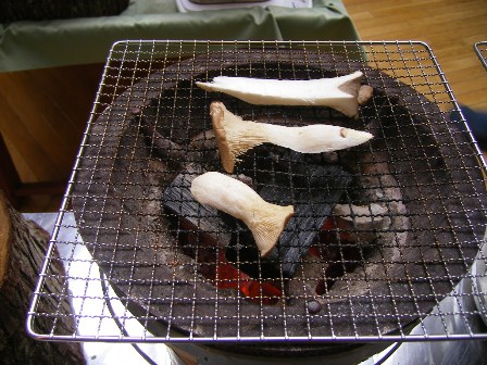 f0000330_1881133.jpg