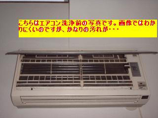 作業写真50枚・・新記録だぁ!_f0031037_20113333.jpg