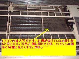 作業写真50枚・・新記録だぁ!_f0031037_20115787.jpg