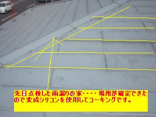 作業写真50枚・・新記録だぁ!_f0031037_2013066.jpg