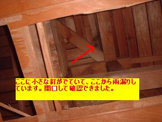 作業写真50枚・・新記録だぁ!_f0031037_2014050.jpg