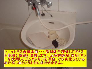 作業写真50枚・・新記録だぁ!_f0031037_20205742.jpg