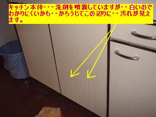 作業写真50枚・・新記録だぁ!_f0031037_20214926.jpg