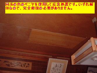 作業写真50枚・・新記録だぁ!_f0031037_202420.jpg