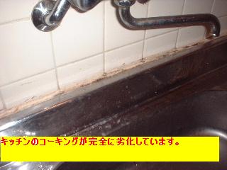 作業写真50枚・・新記録だぁ!_f0031037_2025586.jpg
