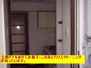 作業写真50枚・・新記録だぁ!_f0031037_2062944.jpg