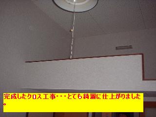 作業写真50枚・・新記録だぁ!_f0031037_207441.jpg