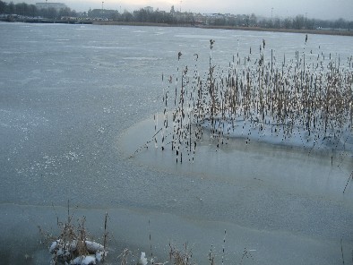 f0051638_75318.jpg