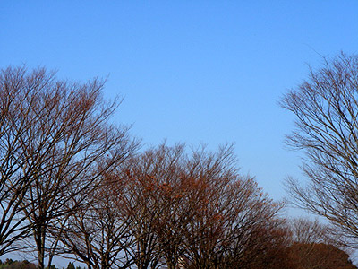 f0009439_21591713.jpg