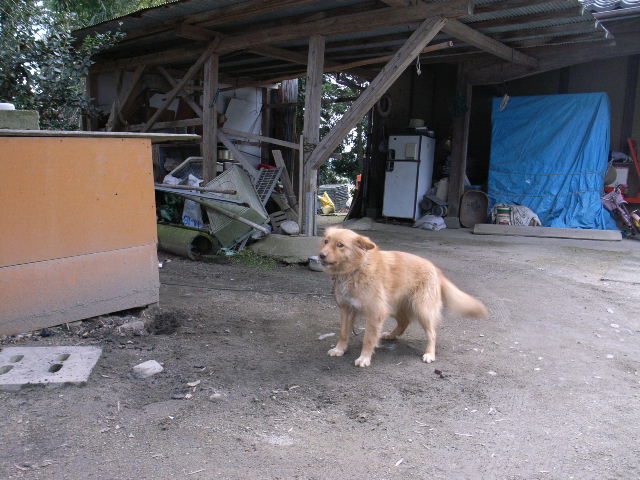 d0073743_2132442.jpg