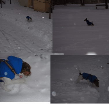 f0077150_21381655.gif