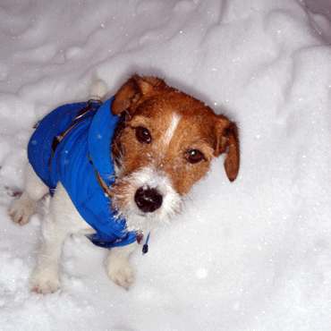f0077150_21412030.gif