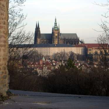 f0077150_54125.gif
